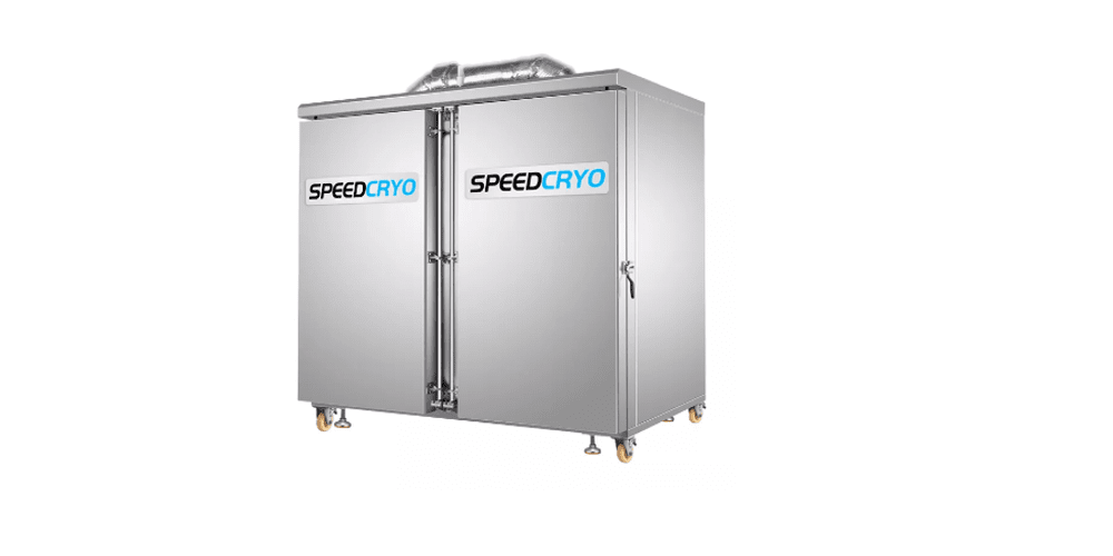 Buying a Powerful Storage Blast Freezer: What to Know