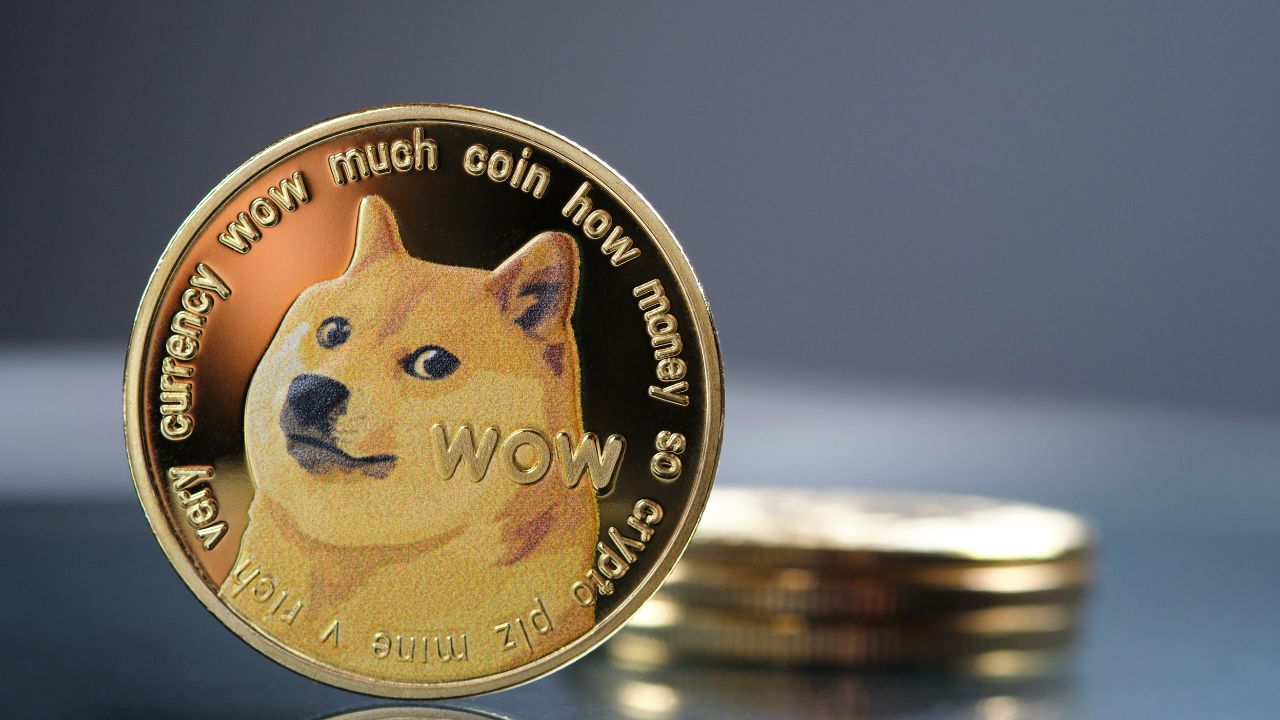 How to Get Free Dogecoin Using Bitget Promo?