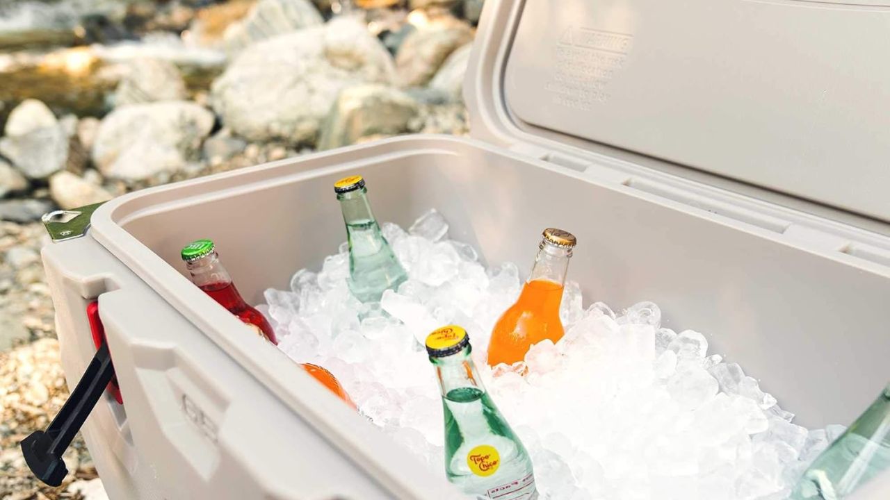 Key Factors to Consider When Buying Wholesale Hard Coolers